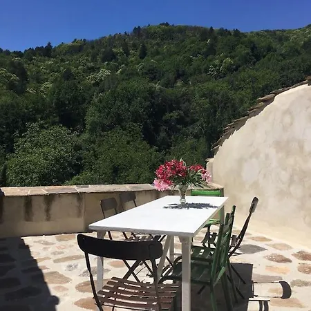 Le Jardin Del Sud *